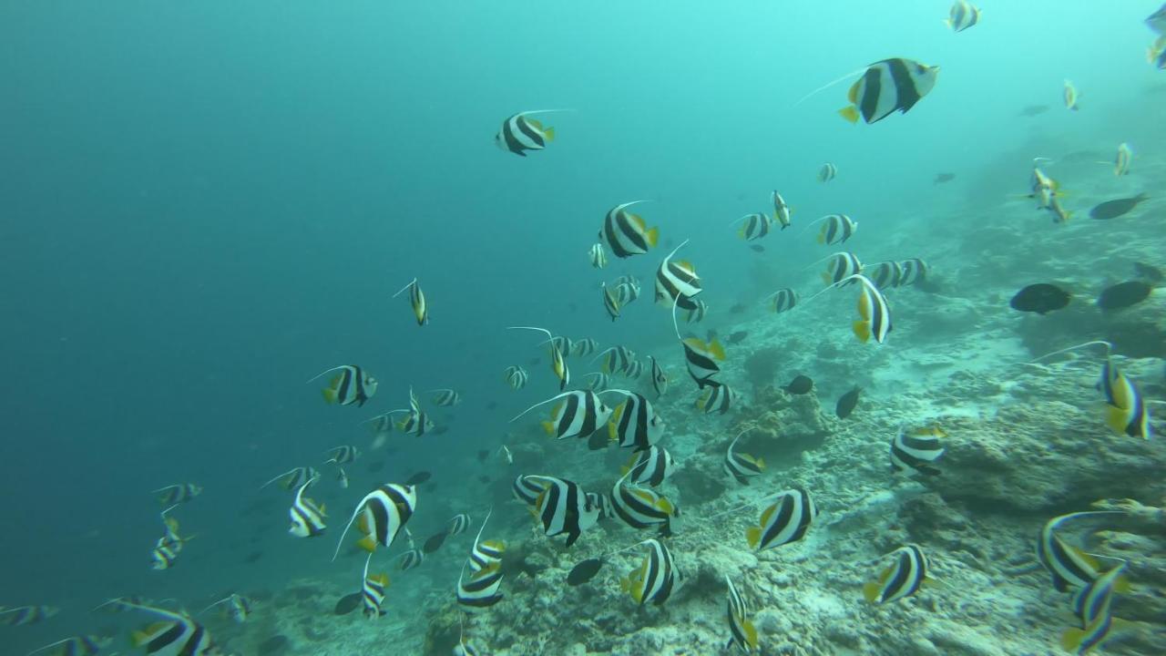 Dhangethi Inn Luaran gambar