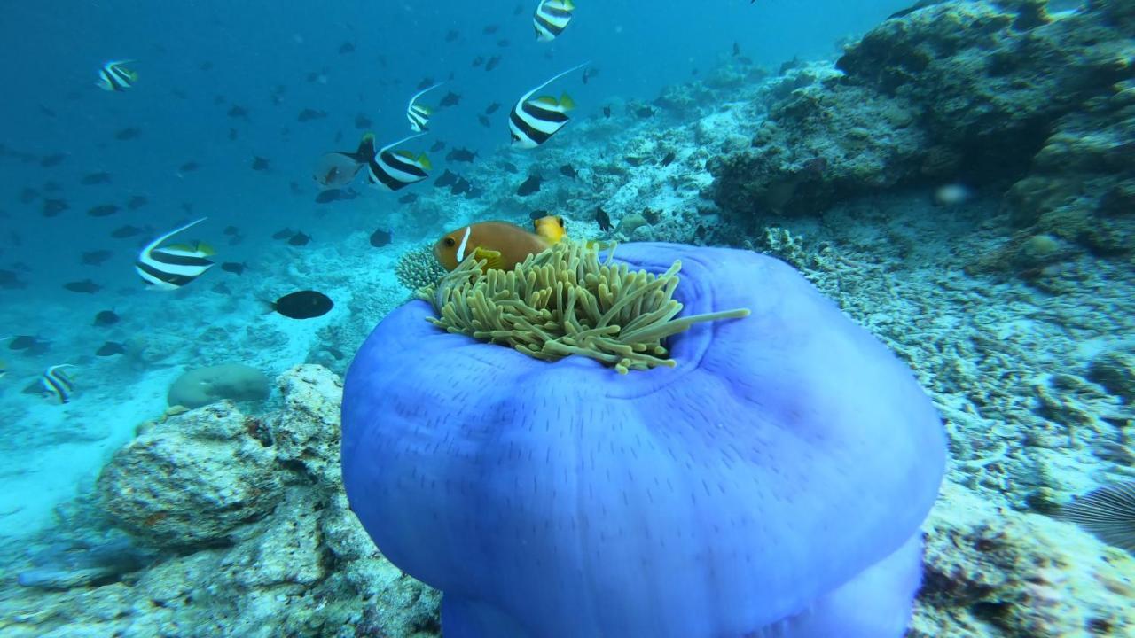 Dhangethi Inn Luaran gambar